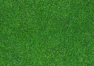 Flotex Vision image