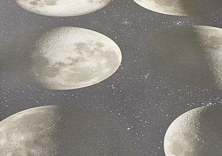 17982 moon