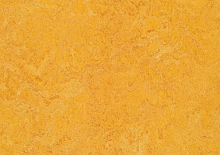 322535 dandelion//3,5 мм