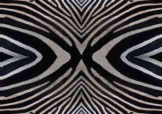 Flotex Vision image