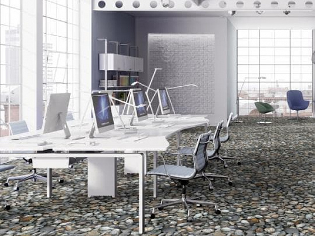 Flotex Vision image