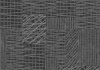 Flotex Vision pattern