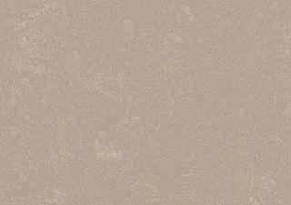 370835 fossil//3,5 мм