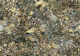 Flotex Vision image