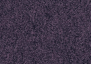 1817 violetta