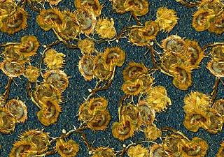 Flotex Vision pattern