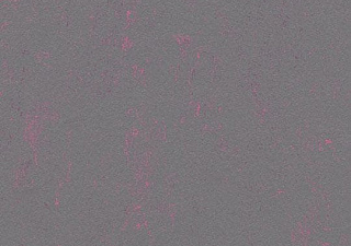 3735 purple shimmer//2,5 mm