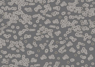 Flotex Sottsass