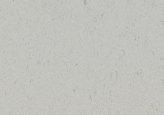 3629 frosty grey//2,5 mm