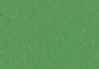 3647 nettle green//2,5 mm