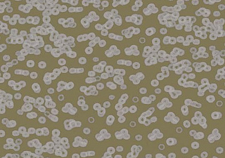Flotex Sottsass