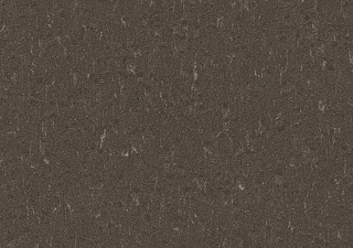 3632 sealion//2,5 mm