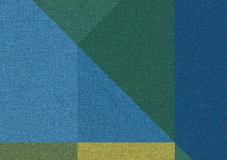 Flotex Vision showtime