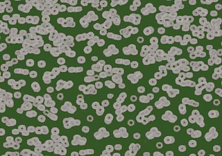 Flotex Sottsass