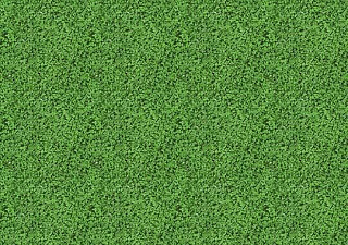 Flotex Vision image