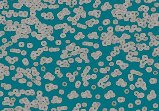 Flotex Sottsass
