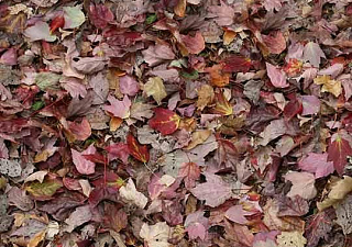 Flotex Vision image