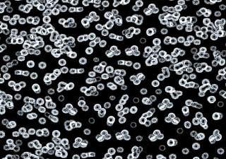 Flotex Sottsass