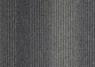 Modulyss First Waves