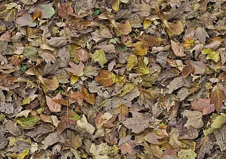 Flotex Vision image