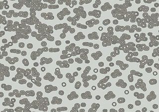 Flotex Sottsass