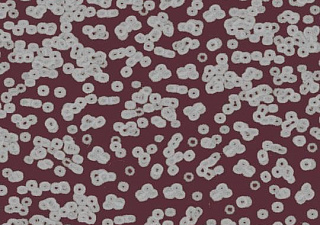 Flotex Sottsass
